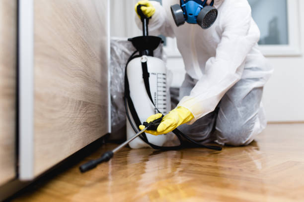 Best Bed Bug Extermination  in Heritage Village, CT