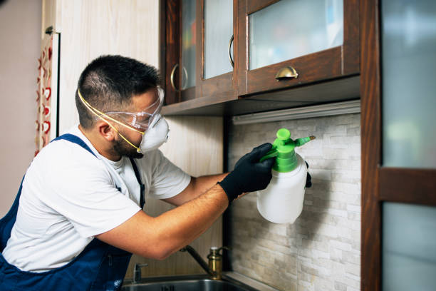 Best Emergency Pest Control  in Heritage Village, CT