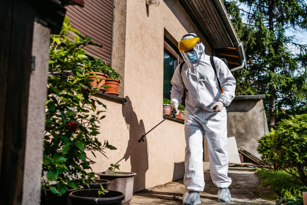 Best Exterminator Services  in Heritage Village, CT
