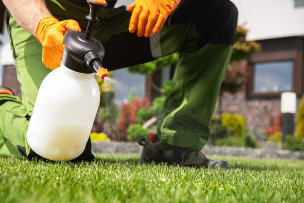 Best Insect Control  in Heritage Village, CT