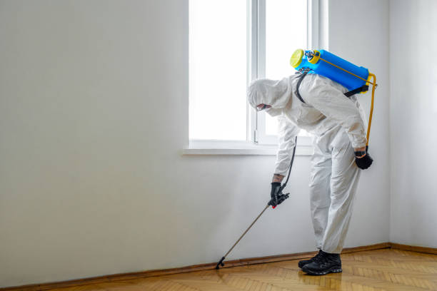 Best Affordable Pest Control Services  in Heritage Village, CT