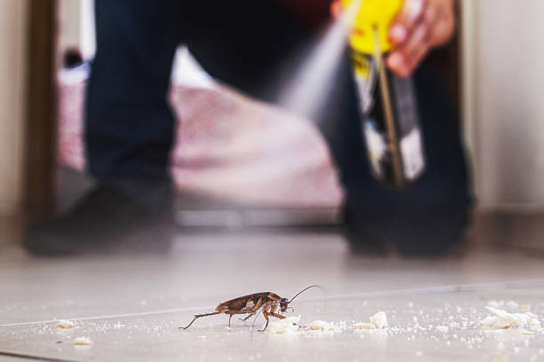 Best Pest Inspection Near Me  in Heritage Village, CT